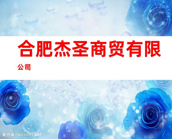 合肥杰圣商贸有限公司